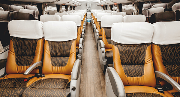 chartered bus rentals