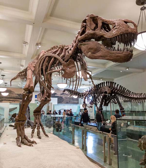 museum