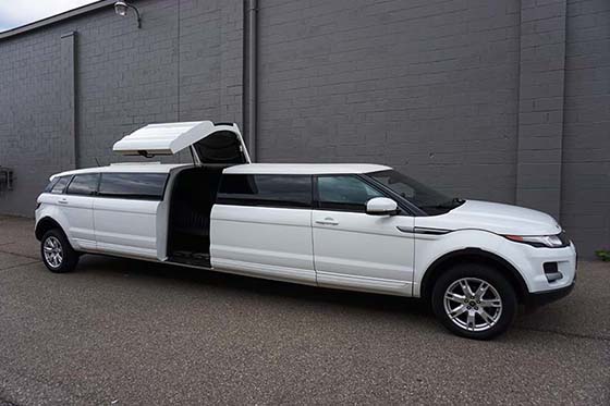 12-passenger limousine