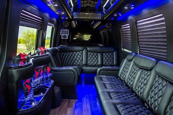 privacy shades on sprinter