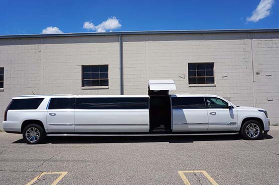 20-passenger limousine