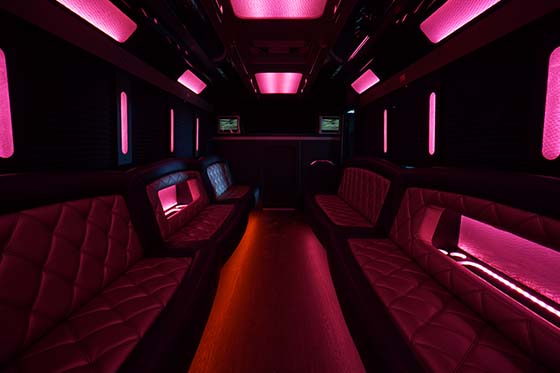 bluetooth and usb on party bus