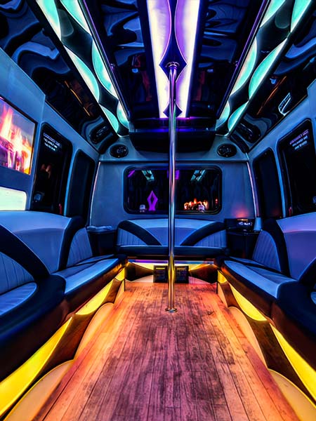 18-passenger party bus