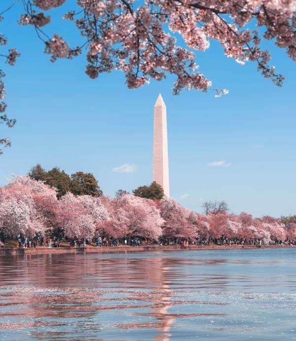 Washington Monument in DC